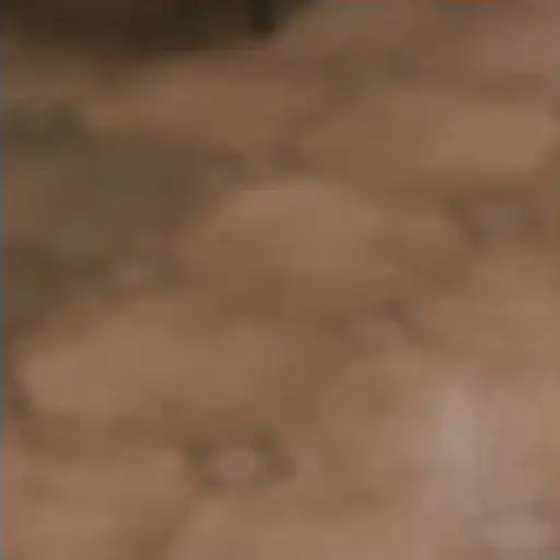 Perritos Tiernos — 3