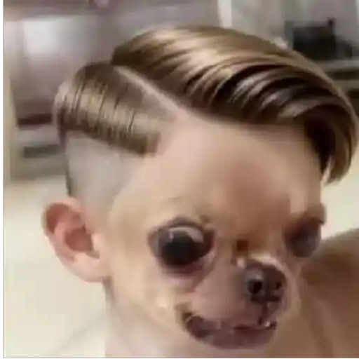 Cachorrinhos Fofos — 4