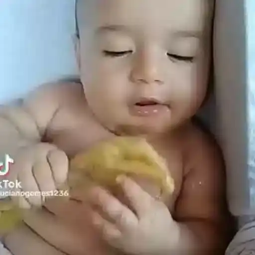 Bebés Comiendo — 2